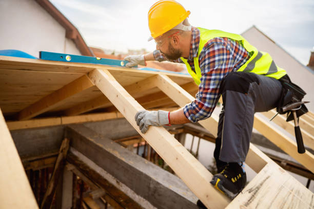 Best Roof Gutter Cleaning  in Rosenberg, TX
