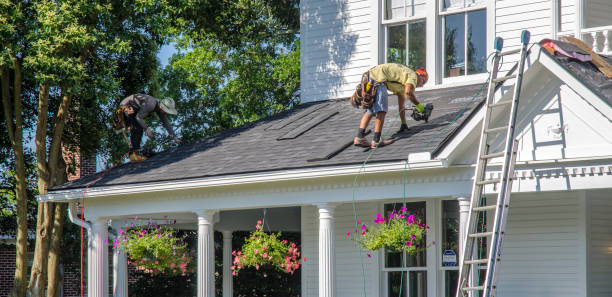 Best Gutter Installation and Roofing  in Rosenberg, TX